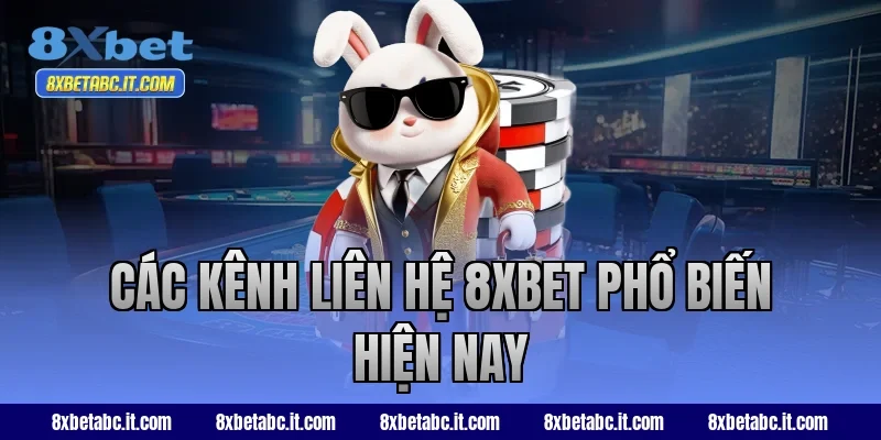 Các kênh liên hệ 8XBET phổ biến hiện nay