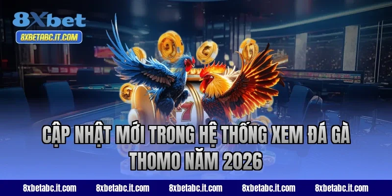 Cập nhật mới trong hệ thống xem đá gà Thomo năm 2026 tại 8XBet