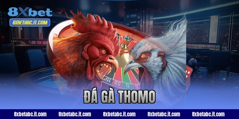 đá gà thomo
