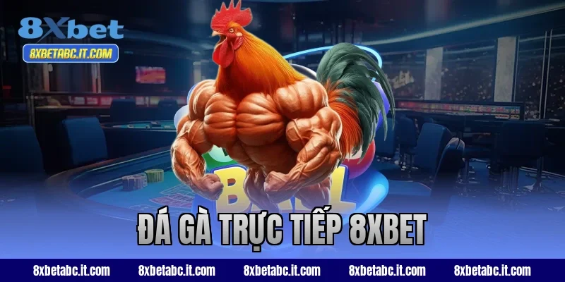 đá gà trực tiếp 8xbet