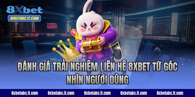 Đánh giá trải nghiệm liên hệ 8XBET từ góc nhìn người dùng