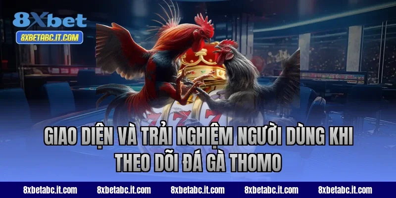 Giao diện và trải nghiệm người dùng khi theo dõi đá gà Thomo tại 8XBet
