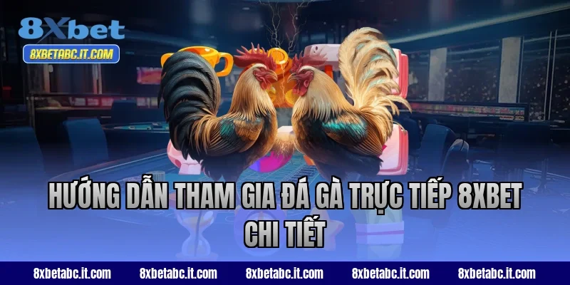 Hướng dẫn tham gia đá gà trực tiếp 8xbet chi tiết