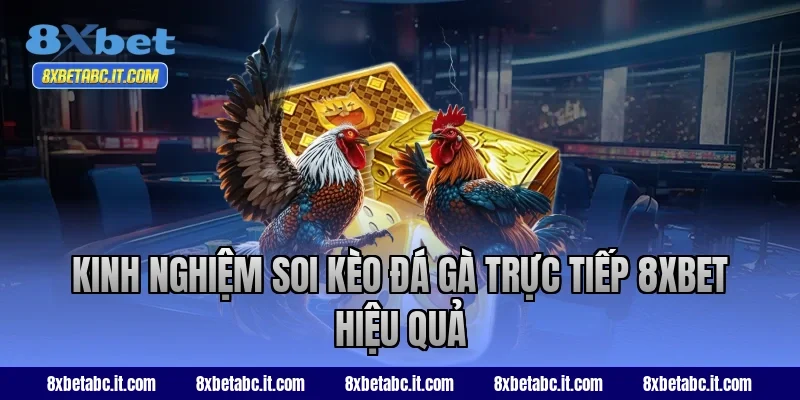 Kinh nghiệm soi kèo đá gà trực tiếp 8xbet hiệu quả