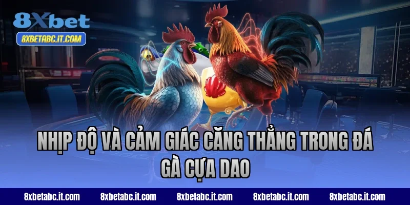 Nhịp độ và cảm giác căng thẳng trong đá gà cựa dao tại 8XBet