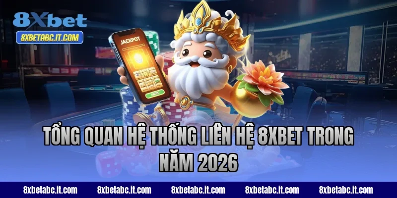 Tổng quan hệ thống liên hệ 8XBET trong năm 2026