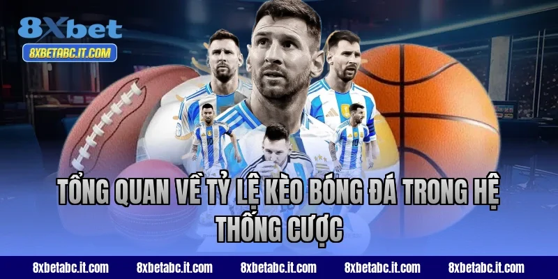 Tổng quan về tỷ lệ kèo bóng đá trong hệ thống cược 8XBet
