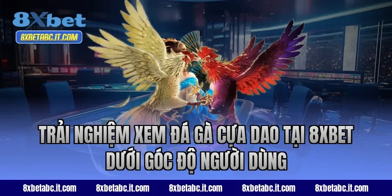 Trải nghiệm xem đá gà cựa dao tại 8XBET dưới góc độ người dùng