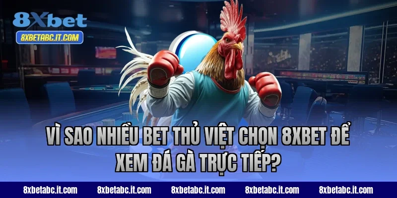 Vì sao nhiều bet thủ Việt chọn 8xbet để xem đá gà trực tiếp?